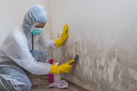 Best Industrial Mold Remediation  in Kibler, AR